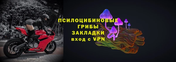крисы Алзамай