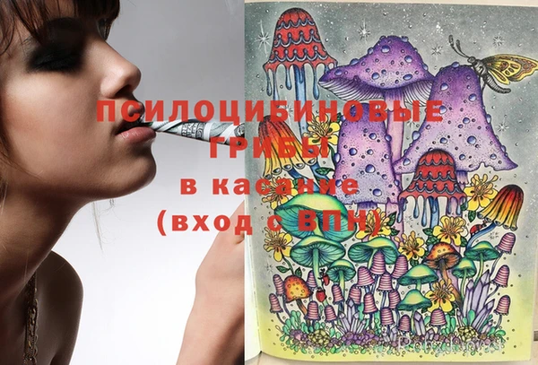 крисы Алексеевка