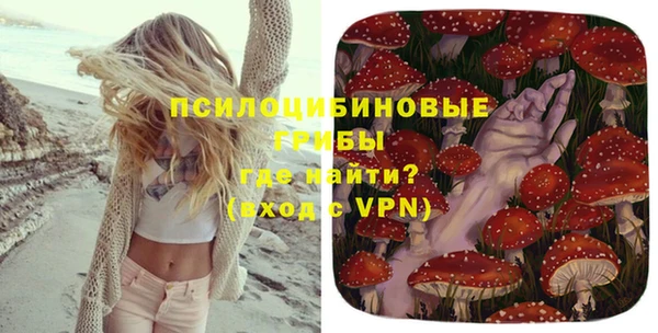 метадон Семёнов