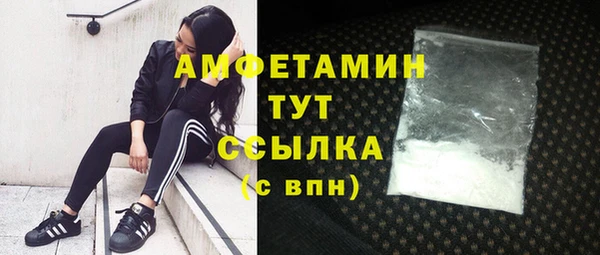 крисы Алзамай